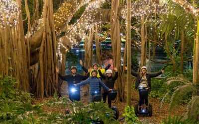 Brisbane River Cruise with entry to Lone Pine Koala Sanctuary (2026 Review & Booking Guide)