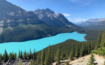 Lake Louise, Moraine Lake and the Icefields Parkway Full-Day (2026 Review & Booking Guide)