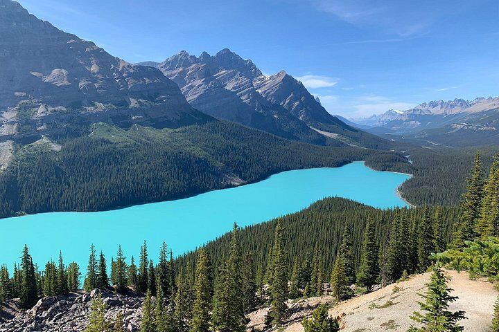 Lake Louise, Moraine Lake and the Icefields Parkway Full-Day (2026 Review & Booking Guide) 1 Lake Louise, Moraine Lake and the Icefields Parkway Full-Day in Banff
