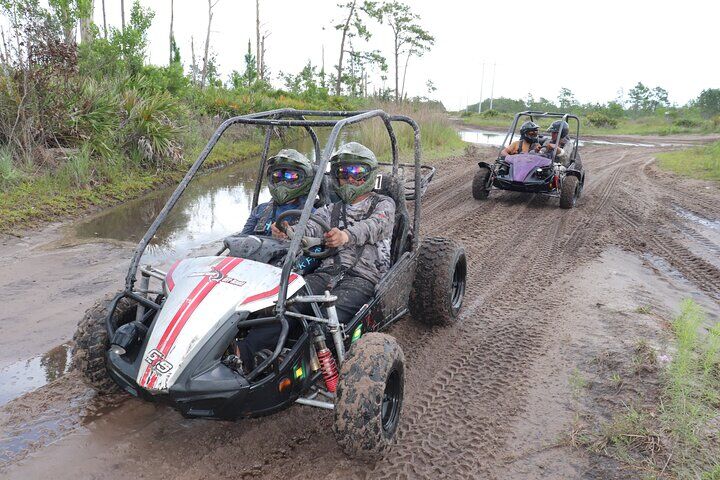 Private vs Small Group Tours in Orlando: Which Should You Book? (2026) 12 Orlando Dune Buggy Tour