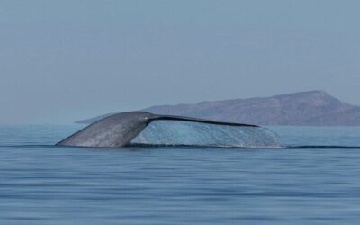 Best Tours & Experiences in Loreto