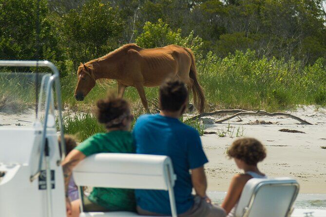 Private Party Assateague Island Cruise - Ocean City Maryland
