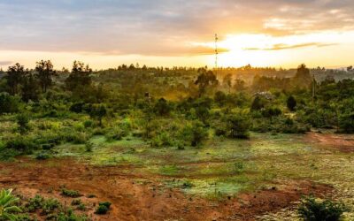 Best Tours & Experiences in Nanyuki, Kenya
