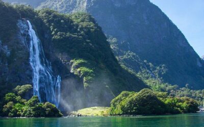 Best Tours & Experiences in Wanaka