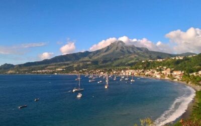 Best Tours & Experiences in Martinique