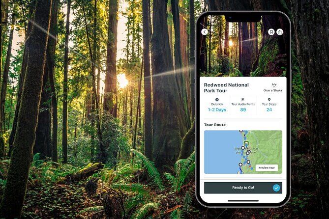 Redwood National Park Audio Tour Guide