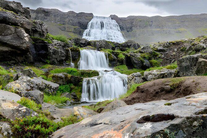 Best Tours & Experiences in Isafjordur Iceland 29 6e