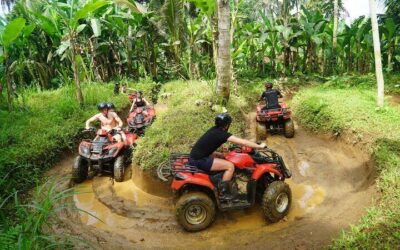 Ubud ATV Quad Bike Tour Gorilla Cave and Lunch (2026 Review & Booking Guide)