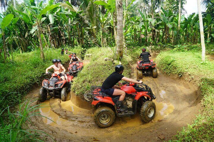 Ubud ATV Quad Bike Tour Gorilla Cave and Lunch in Ubud