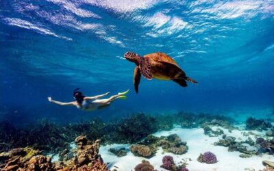 Best Tours & Experiences in Malindi