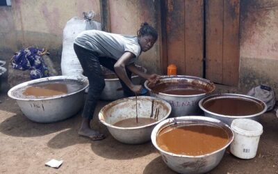 Best Tours & Experiences in Tamale, Ghana
