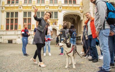 THE Storytelling Tour of Bruges | First Day Must | History (2026 Review & Booking Guide)