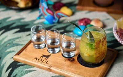 Best Tours & Experiences in Valladolid