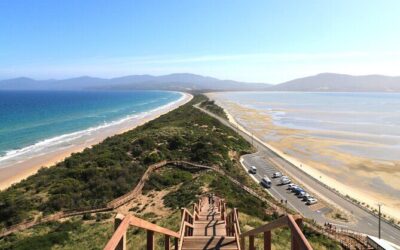 Best Tours & Experiences in Hobart
