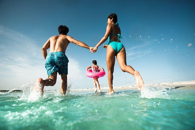 Best Tours & Experiences in Clearwater Beach Florida 19 72 2