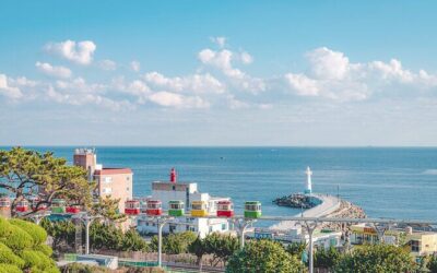 Best Tours & Experiences in Busan