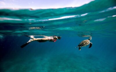 Best Tours & Experiences in St Thomas