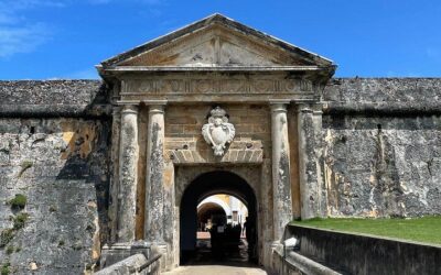 Puerto Rico Jet Snorkel with Turtles and Videos in San Juan (2026 Review & Booking Guide)