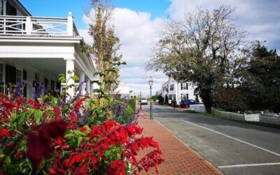Best Things to Do in Marthas Vineyard (2026): Top-Rated Tours & Experiences
