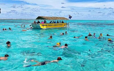 Best Tours & Experiences in Rarotonga