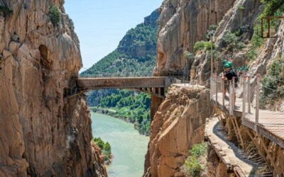 Best Day Trips from Malaga (2026)