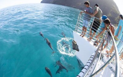 Kauai: NaPali Boat Tour on the Amelia K (2026 Review & Booking Guide)