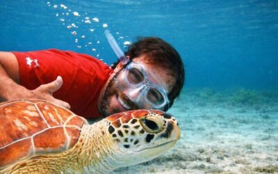 Best Things to Do in Fajardo (2026): Top-Rated Tours & Experiences