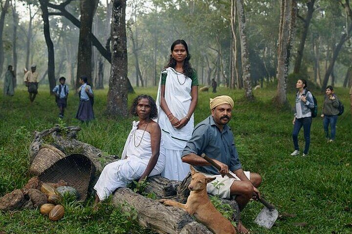 5 Days Kerala Tour with Private Car Houseboat Munnar and Thekkady