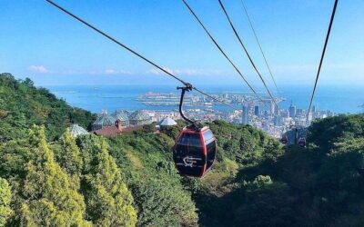 Best Tours & Experiences in Kobe