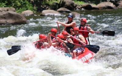 Best Things to Do in Hartford (2026): Top-Rated Tours & Experiences