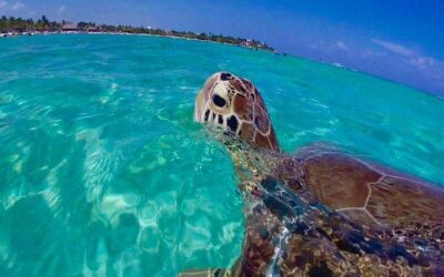 Best Time to Visit St Thomas (2026): Month-by-Month Guide