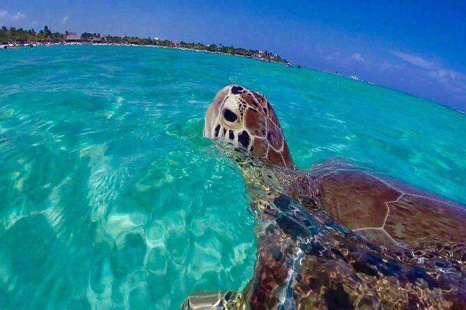 Best Tours & Experiences in St John Virgin Islands 31 7b