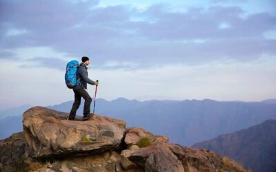 Best Tours & Experiences in Taif
