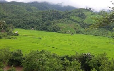Best Tours & Experiences in Luang Namtha