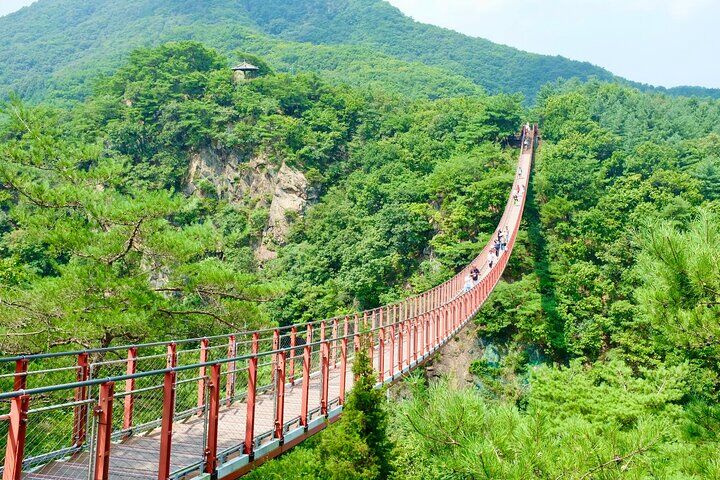 2026 Travelers’ Choice Best of the Best: DMZ Tour from Seoul in Seoul