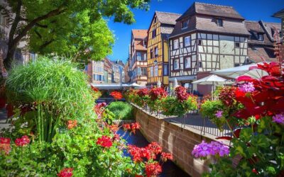 Colmar, Medieval Village & Castle Small Group from Strasbourg (2026 Review & Booking Guide)