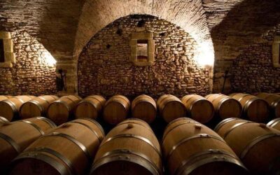 Best Time to Visit Avignon (2026): Month-by-Month Guide
