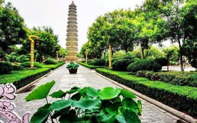 Best Tours & Experiences in Zhengzhou, China