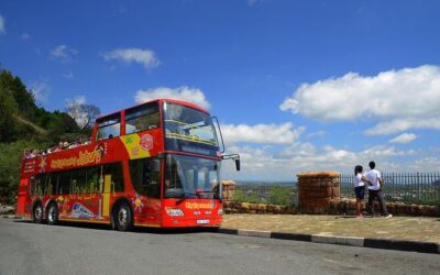 Best Tours & Experiences in Johannesburg