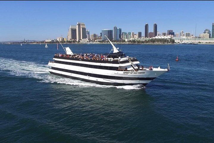 San Diego Harbor Cruise (2026 Review & Booking Guide) 1 San Diego Harbor Cruise in San Diego