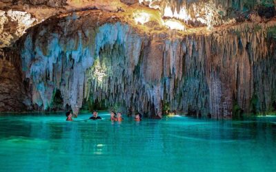 Best Tours & Experiences in Tulum