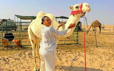 Best Tours & Experiences in Kuwait City