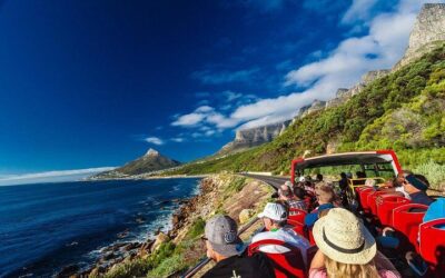 Cape Town Hop-On Hop-Off City Tour with Optional Cruise (2026 Review & Booking Guide)