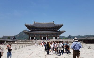 Seoul City Sightseeing Tour Including Gyeongbokgung Palace, N (2026 Review & Booking Guide)