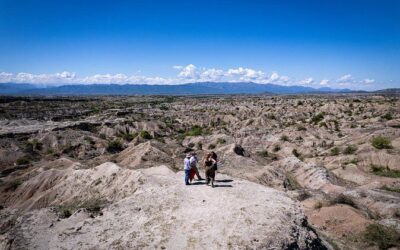 Best Tours & Experiences in Neiva, Colombia