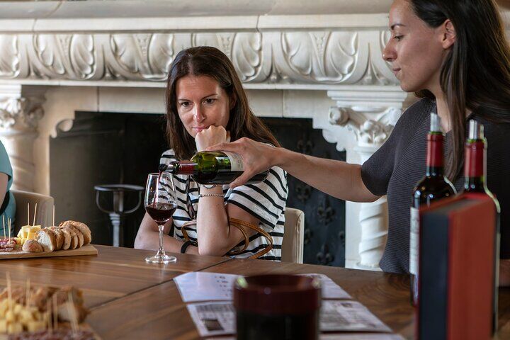 Medoc or Saint Emilion Wine Tasting and Chateau from Bordeaux in Bordeaux