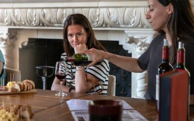 Best Tours in Bordeaux: Top Ways to Experience the City (2026)