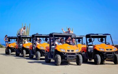 Best Tours & Experiences in Aruba