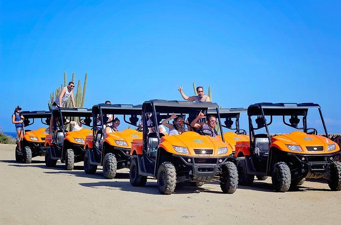 I migliori tour ed esperienze ad Aruba