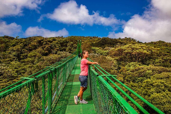 The Original Canopy Tour Monteverde, Zipline (2026 Review & Booking Guide) 1 The Original Canopy Tour Monteverde, Zipline in Monteverde